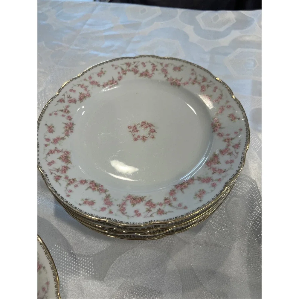 Bridal Rose Vintage‎ Original Lot of 18 Bavaria Schumann Plates Western Germany